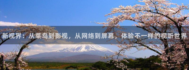九七影院伦理：新视界：从菜鸟到影视，从网络到屏幕，体验不一样的视听世界