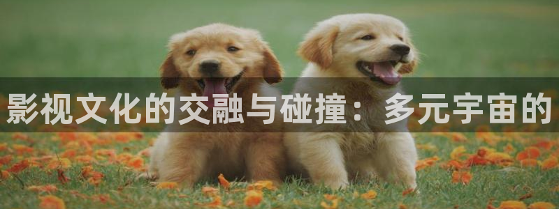 九七资源网络免费视频