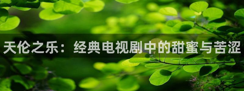 九七电影院手机版版