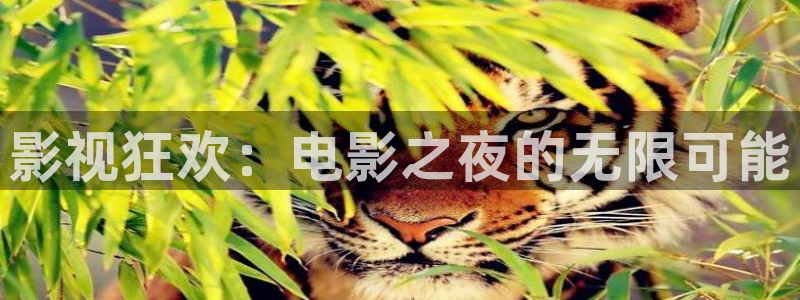 九七电影院vip