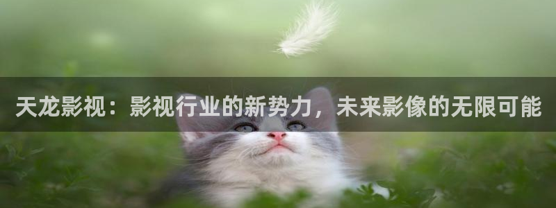 九七电影网在线观看