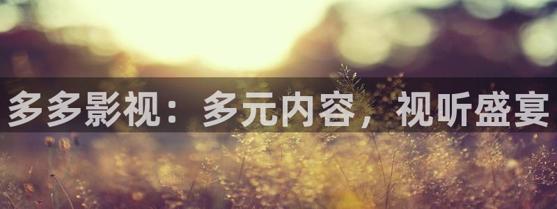 九七电影院久久：多多影视：多元内容，视听盛宴
