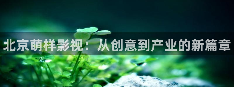 九七影院电视剧大全在线观看免费：北京萌样影视：从创意到产业的新篇章
