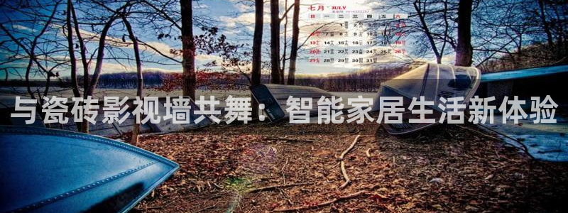 超碰九七精品在线观看：与瓷砖影视墙共舞：智能家居生活新体验